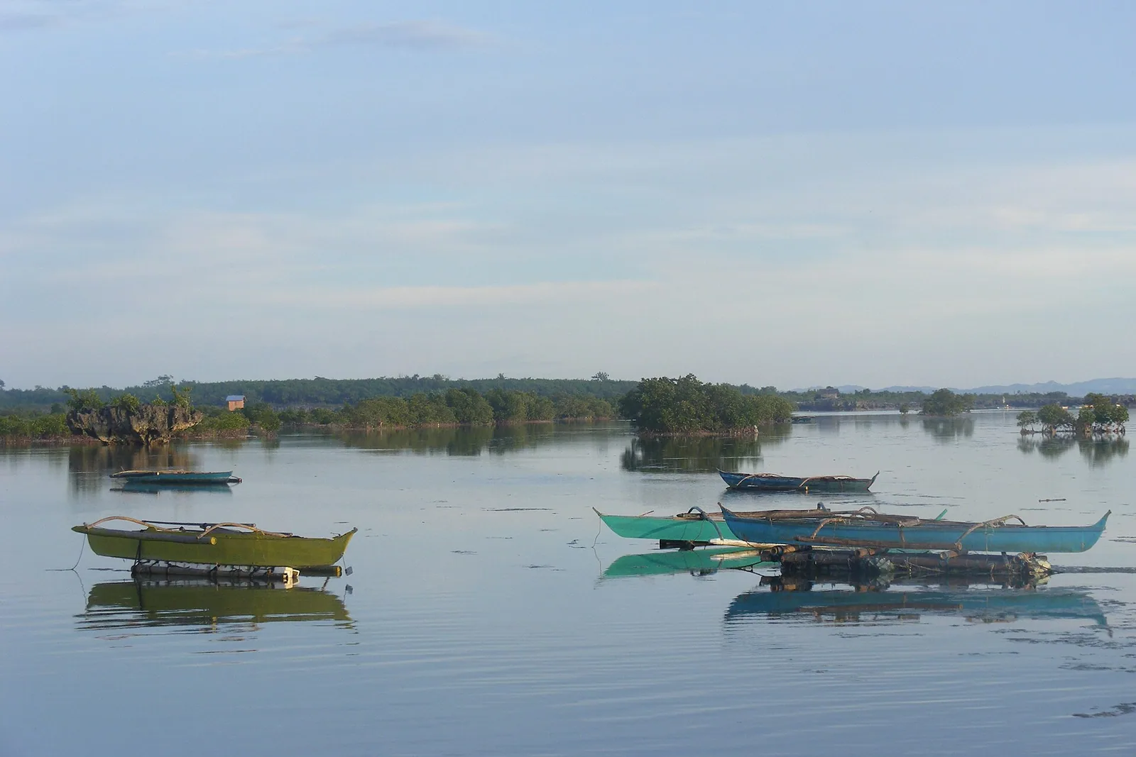 Mangroveskogen ved Day-as i Cordova