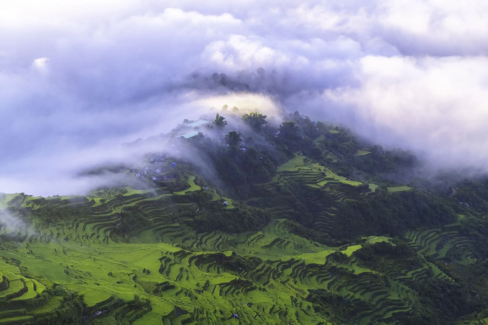 Risterrasser i Nord-Luzon
