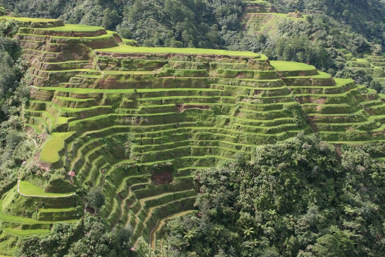 Risterrassene ved Banaue