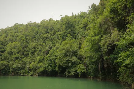 Loboc-elven på Bohol