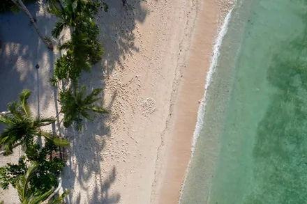 Palmer og turkist vann ved en filippinsk strand