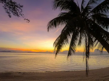 Solnedgang bak palmene på en filippinsk strand