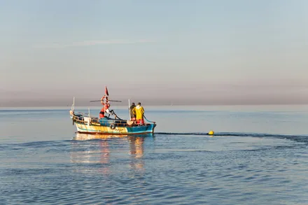 Fiskebåt på havet