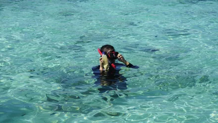 Snorkler i vannet
