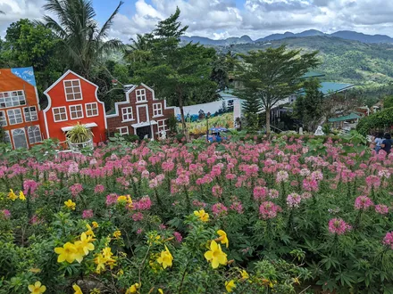 Blomsterhagen i Sirao