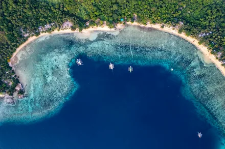 Snorkling over korallrev