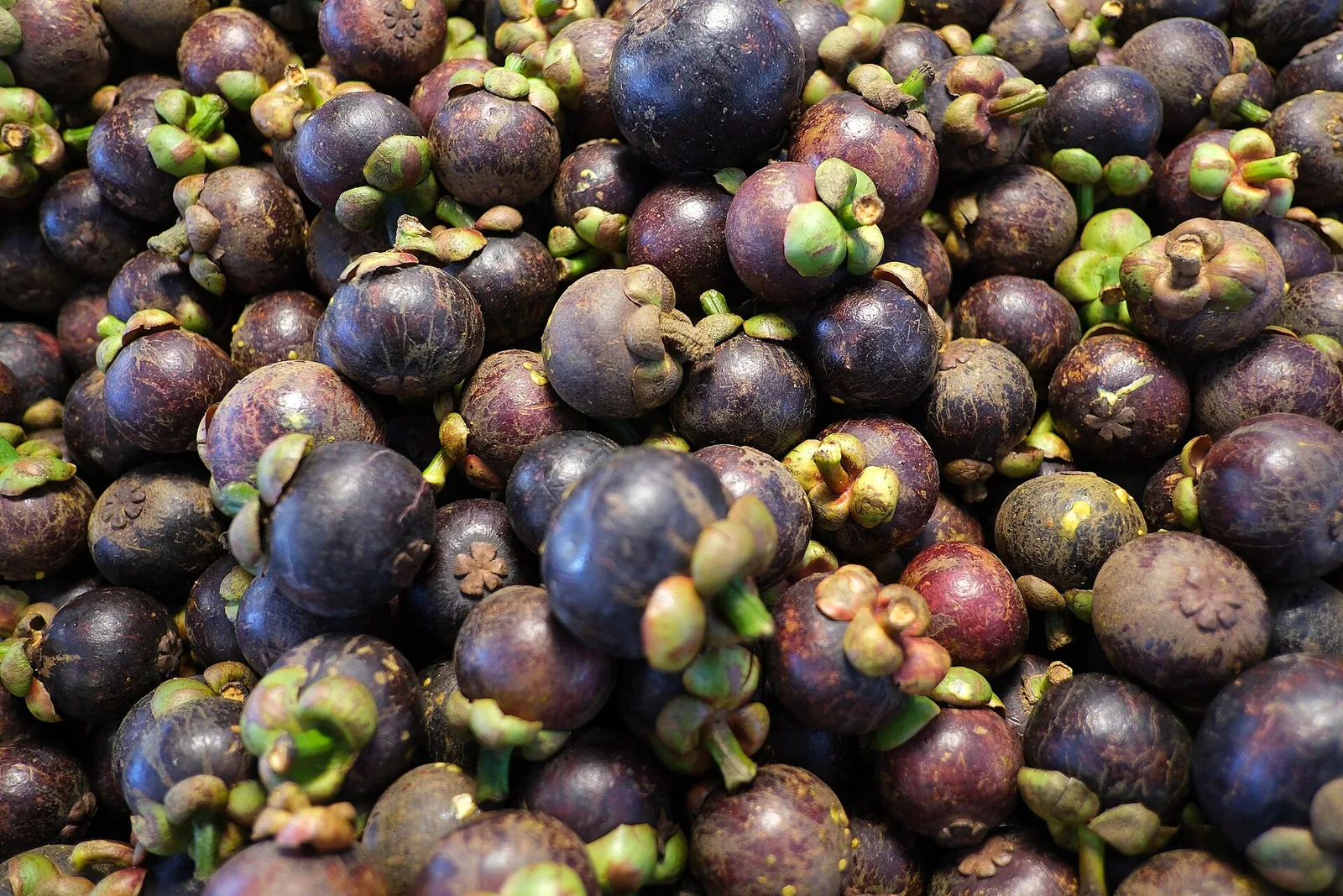Tropisk frukt på markedet