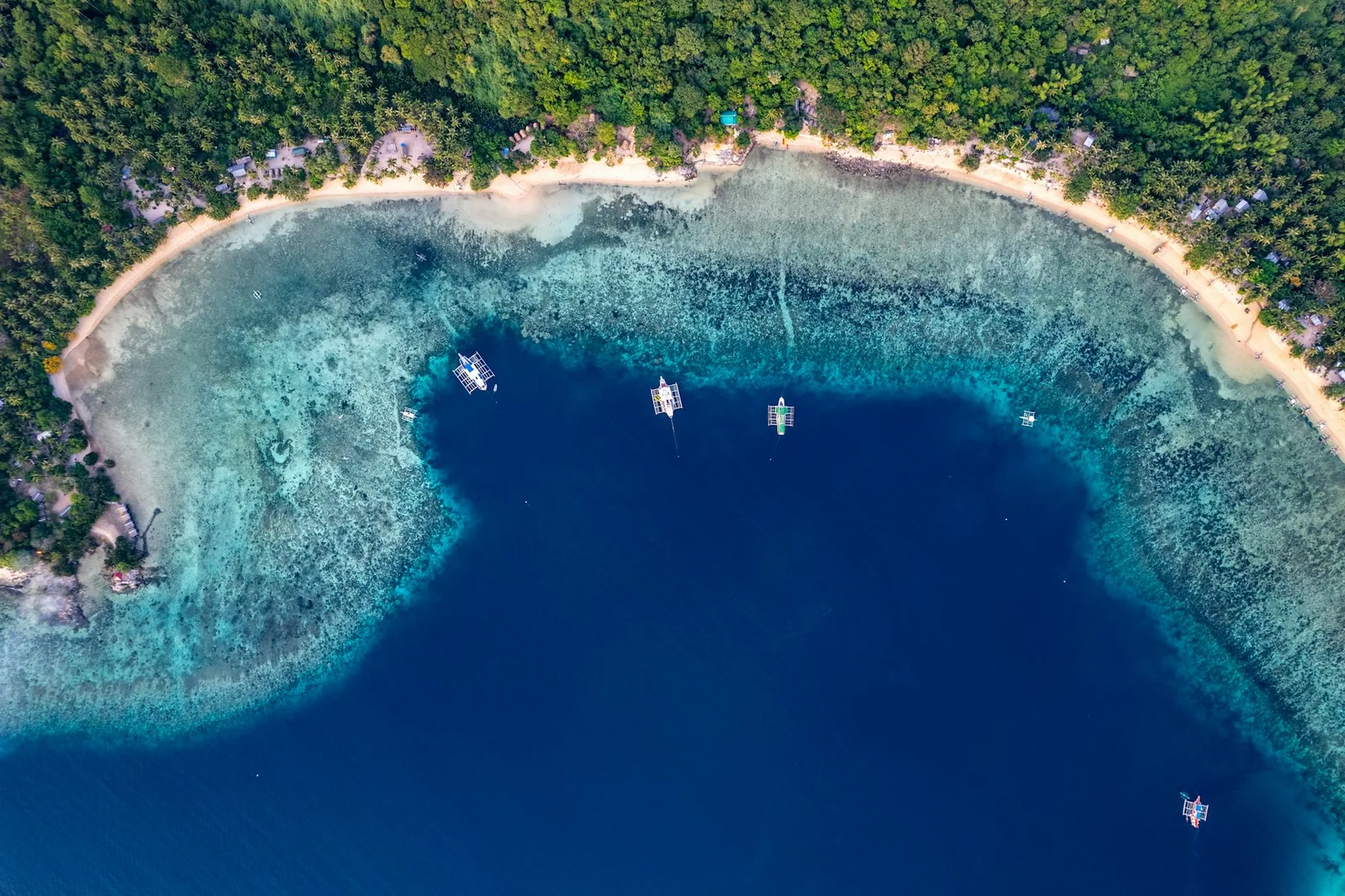 Snorkling over korallrev